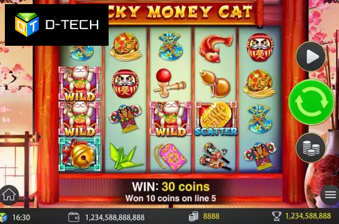 Lucky Money Cat